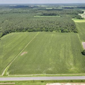 Photo #16 of 03 Albritton Road , Snow Hill, NC 11.4 acres