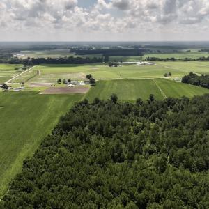 Photo #17 of 03 Albritton Road , Snow Hill, NC 11.4 acres