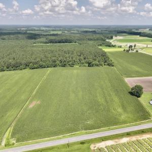 Photo #1 of 03 Albritton Road , Snow Hill, NC 11.4 acres