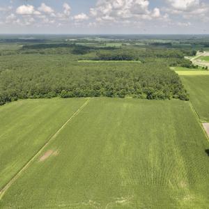 Photo #2 of 03 Albritton Road , Snow Hill, NC 11.4 acres