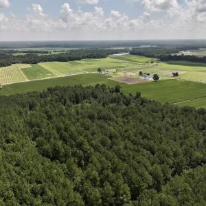 Photo #20 of 03 Albritton Road , Snow Hill, NC 11.4 acres