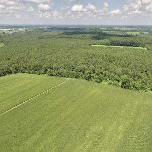 Photo #3 of 03 Albritton Road , Snow Hill, NC 11.4 acres