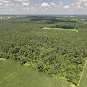 Photo #4 of 03 Albritton Road , Snow Hill, NC 11.4 acres