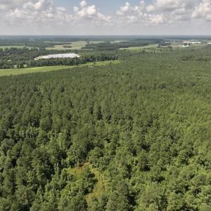 Photo #6 of 03 Albritton Road , Snow Hill, NC 11.4 acres