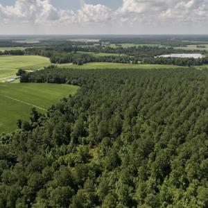 Photo #7 of 03 Albritton Road , Snow Hill, NC 11.4 acres