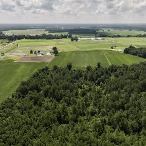 Photo #8 of 03 Albritton Road , Snow Hill, NC 11.4 acres