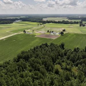 Photo #9 of 03 Albritton Road , Snow Hill, NC 11.4 acres