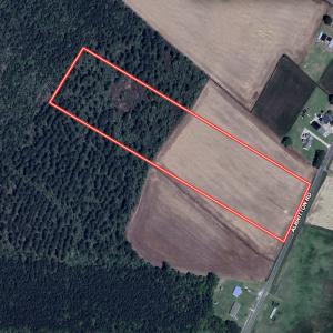 Photo #21 of 03 Albritton Road , Snow Hill, NC 11.4 acres
