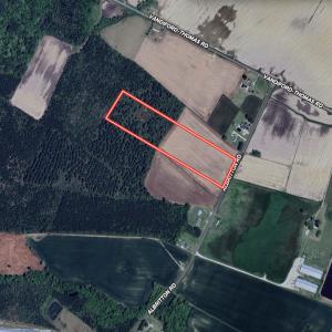Photo #22 of 03 Albritton Road , Snow Hill, NC 11.4 acres