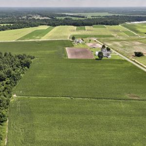 Photo #10 of 04 Albritton Road, Snow Hill, NC 10.9 acres