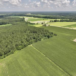 Photo #12 of 04 Albritton Road, Snow Hill, NC 10.9 acres