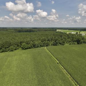 Photo #13 of 04 Albritton Road, Snow Hill, NC 10.9 acres