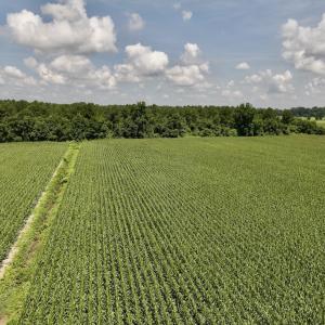 Photo #16 of 04 Albritton Road, Snow Hill, NC 10.9 acres