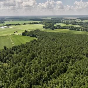 Photo #5 of 04 Albritton Road, Snow Hill, NC 10.9 acres