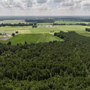 Photo #6 of 04 Albritton Road, Snow Hill, NC 10.9 acres