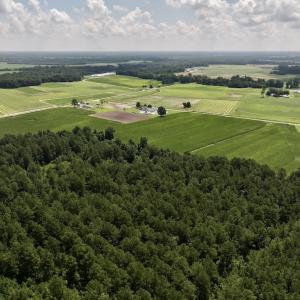 Photo #7 of 04 Albritton Road, Snow Hill, NC 10.9 acres