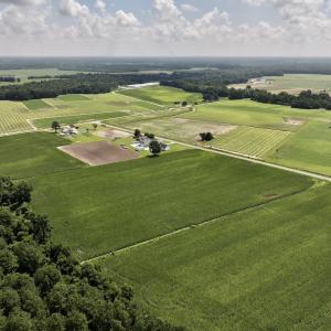 Photo #9 of 04 Albritton Road, Snow Hill, NC 10.9 acres