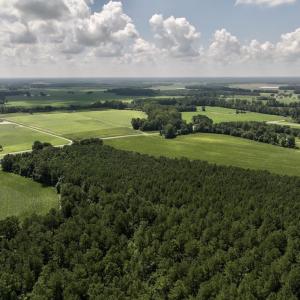 Photo #21 of 04 Albritton Road, Snow Hill, NC 10.9 acres
