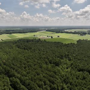 Photo #22 of 04 Albritton Road, Snow Hill, NC 10.9 acres