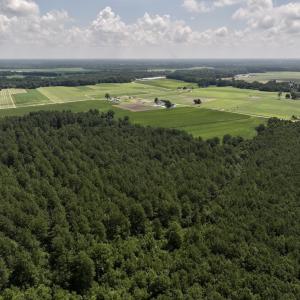 Photo #24 of 04 Albritton Road, Snow Hill, NC 10.9 acres