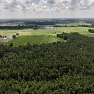 Photo #25 of 04 Albritton Road, Snow Hill, NC 10.9 acres
