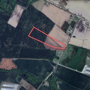 Photo #27 of 04 Albritton Road, Snow Hill, NC 10.9 acres