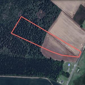 Photo #28 of 04 Albritton Road, Snow Hill, NC 10.9 acres