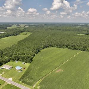 Photo #1 of 05 Albritton Road, Snow Hill, NC 16.6 acres