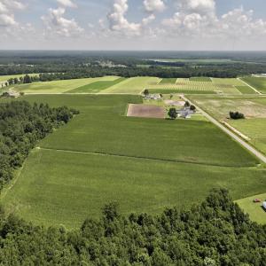 Photo #10 of 05 Albritton Road, Snow Hill, NC 16.6 acres