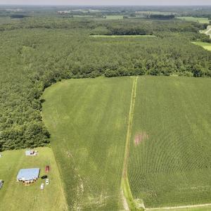Photo #11 of 05 Albritton Road, Snow Hill, NC 16.6 acres