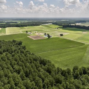 Photo #13 of 05 Albritton Road, Snow Hill, NC 16.6 acres
