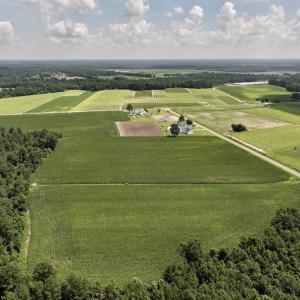 Photo #15 of 05 Albritton Road, Snow Hill, NC 16.6 acres