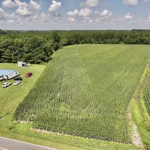 Photo #16 of 05 Albritton Road, Snow Hill, NC 16.6 acres