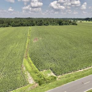 Photo #17 of 05 Albritton Road, Snow Hill, NC 16.6 acres