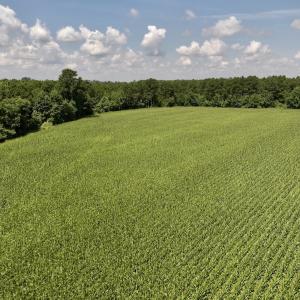 Photo #18 of 05 Albritton Road, Snow Hill, NC 16.6 acres