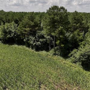 Photo #21 of 05 Albritton Road, Snow Hill, NC 16.6 acres