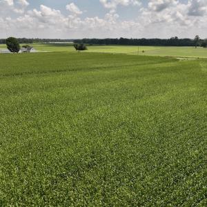 Photo #24 of 05 Albritton Road, Snow Hill, NC 16.6 acres
