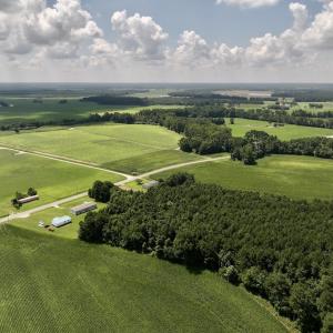 Photo #3 of 05 Albritton Road, Snow Hill, NC 16.6 acres