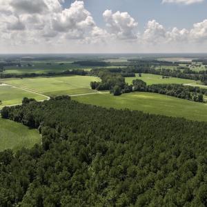 Photo #4 of 05 Albritton Road, Snow Hill, NC 16.6 acres