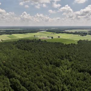 Photo #5 of 05 Albritton Road, Snow Hill, NC 16.6 acres