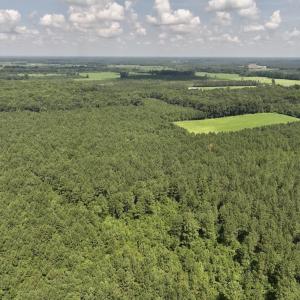 Photo #8 of 05 Albritton Road, Snow Hill, NC 16.6 acres
