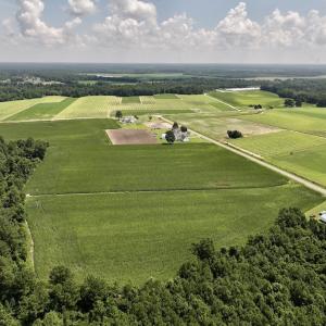 Photo #9 of 05 Albritton Road, Snow Hill, NC 16.6 acres