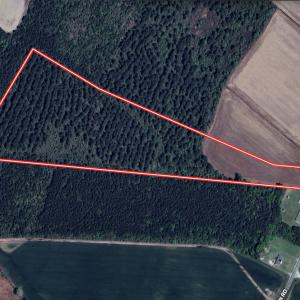 Photo #28 of 05 Albritton Road, Snow Hill, NC 16.6 acres