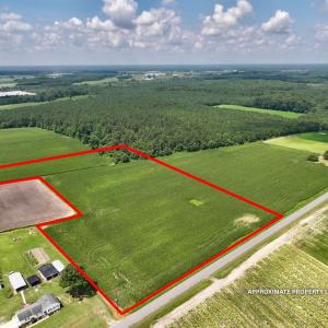 Photo #15 of 02 Vandiford Thomas Road, Snow Hill, NC 10.9 acres