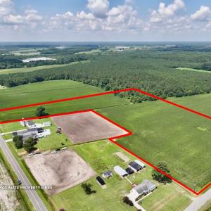 Photo #16 of 02 Vandiford Thomas Road, Snow Hill, NC 10.9 acres