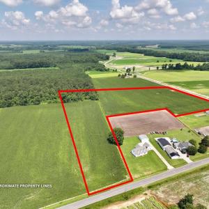 Photo #2 of 02 Vandiford Thomas Road, Snow Hill, NC 10.9 acres