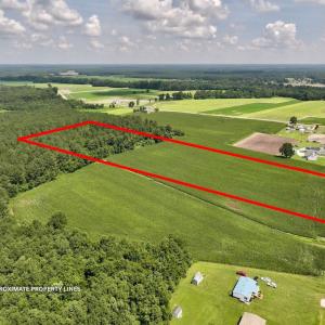 Photo #17 of 03 Albritton Road , Snow Hill, NC 11.4 acres
