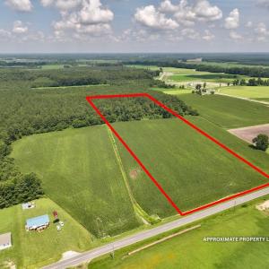 Photo #18 of 03 Albritton Road , Snow Hill, NC 11.4 acres