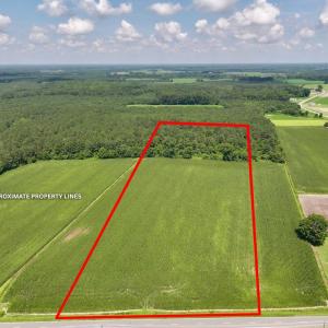 Photo #21 of 03 Albritton Road , Snow Hill, NC 11.4 acres