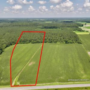 Photo #3 of 04 Albritton Road, Snow Hill, NC 10.9 acres